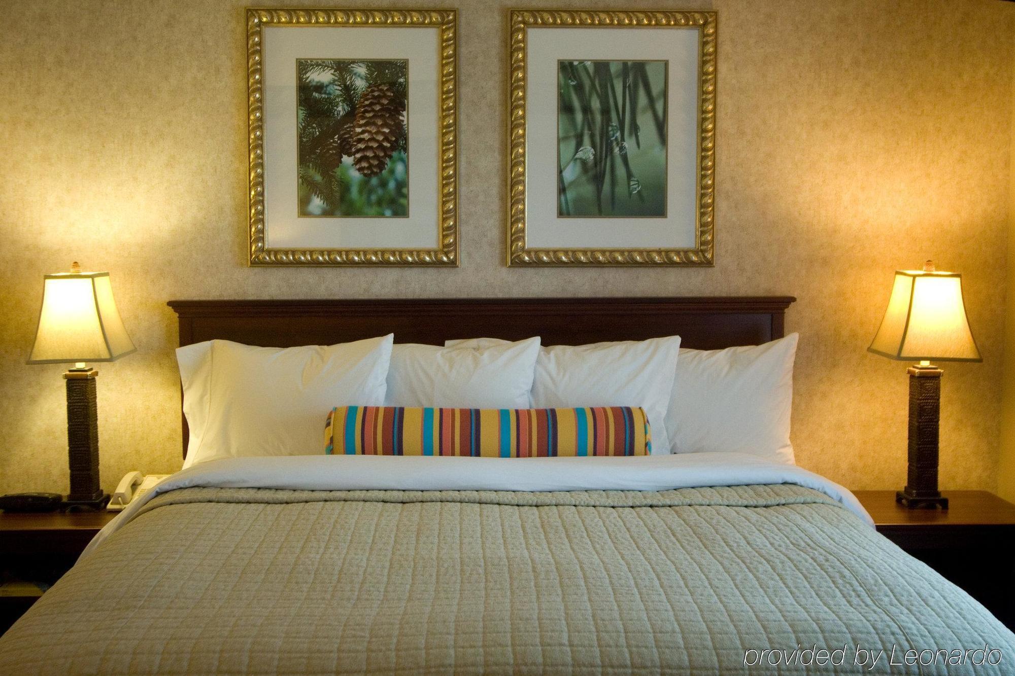 Phoenix Inn Suites Олбани Номер фото
